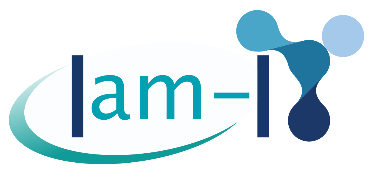 Logo_Labcom_IAM-IT2 court